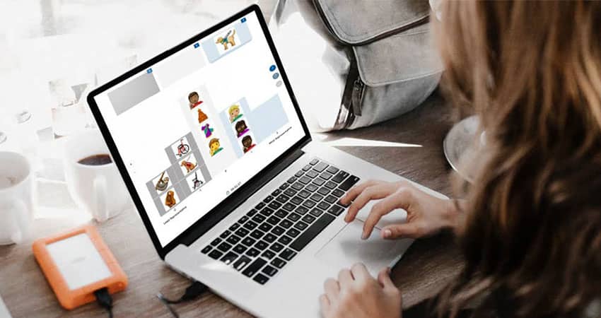 Q Method Software screenshot